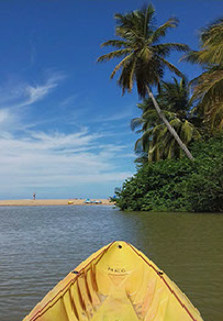Randonnée en Kayak dans la mangrove de l'étang mitan