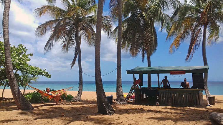 La paillote du centre nautique MKG est ouverte tout les jours de 9h à 17h sur la plage de Grande Anse à Deshaies en Guadeloupe