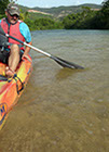 En kayak 2 places dans la mangrove