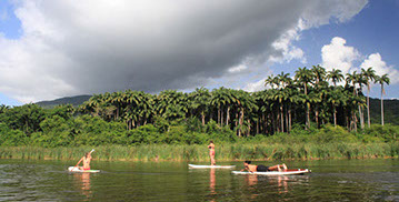 Randonnée en kayak, en paddle ou en pédalo dans la mangrove en Guadeloupe